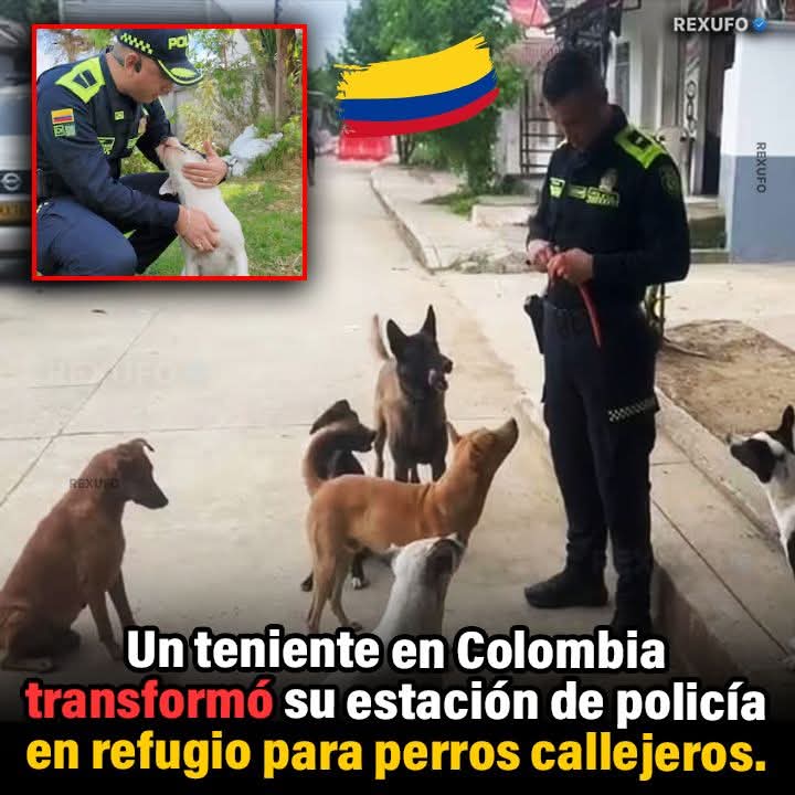 FB_IMG_1762970461932