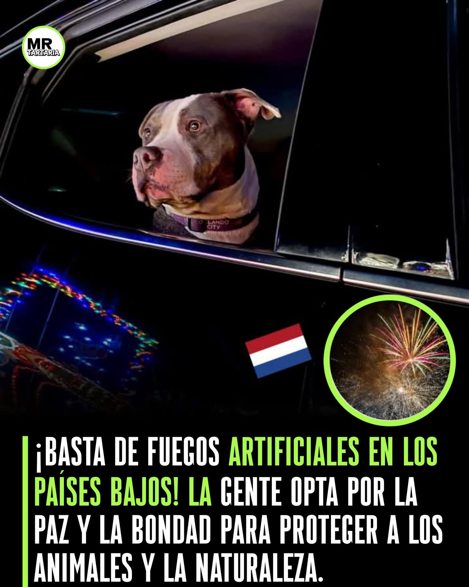 FB_IMG_1763172110360