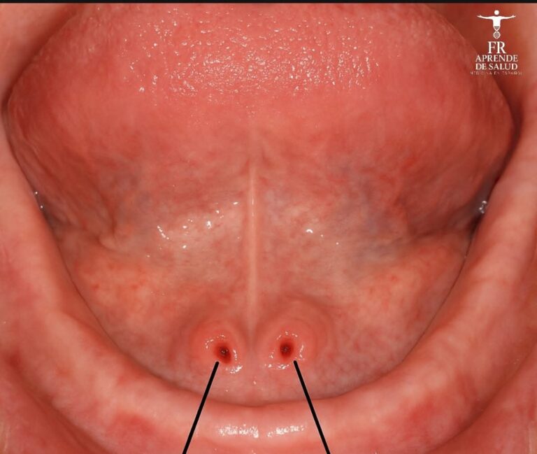 FB_IMG_1763217695822