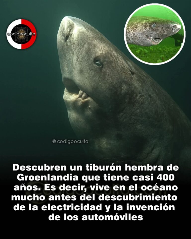 FB_IMG_1763961369149