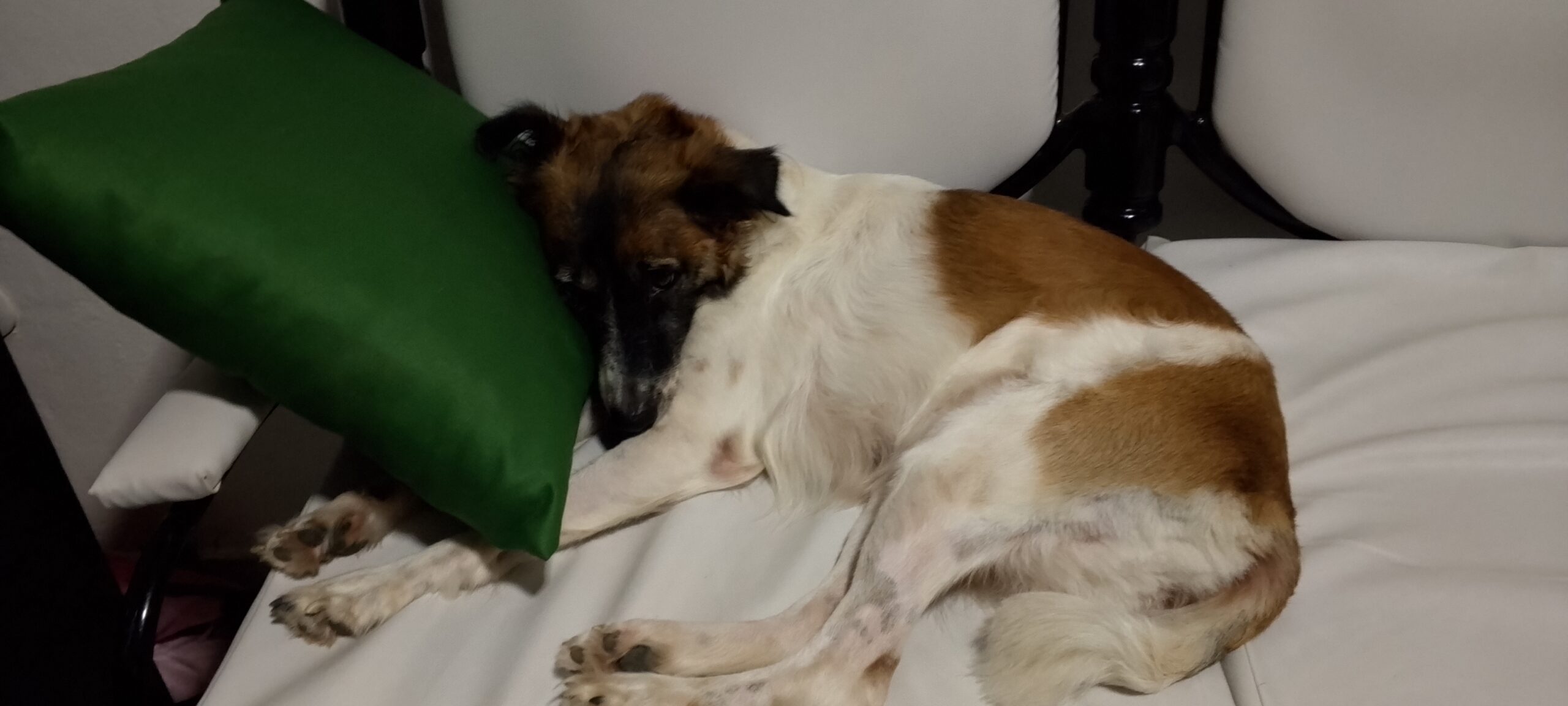 IMG_20251002_185933_465