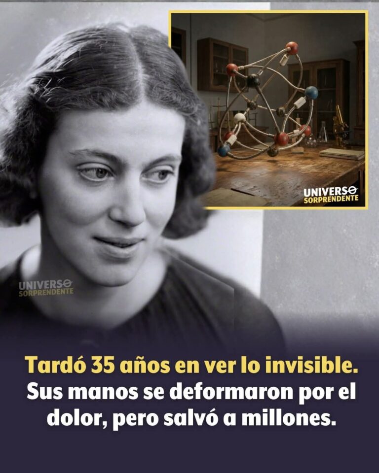 FB_IMG_1764881525105