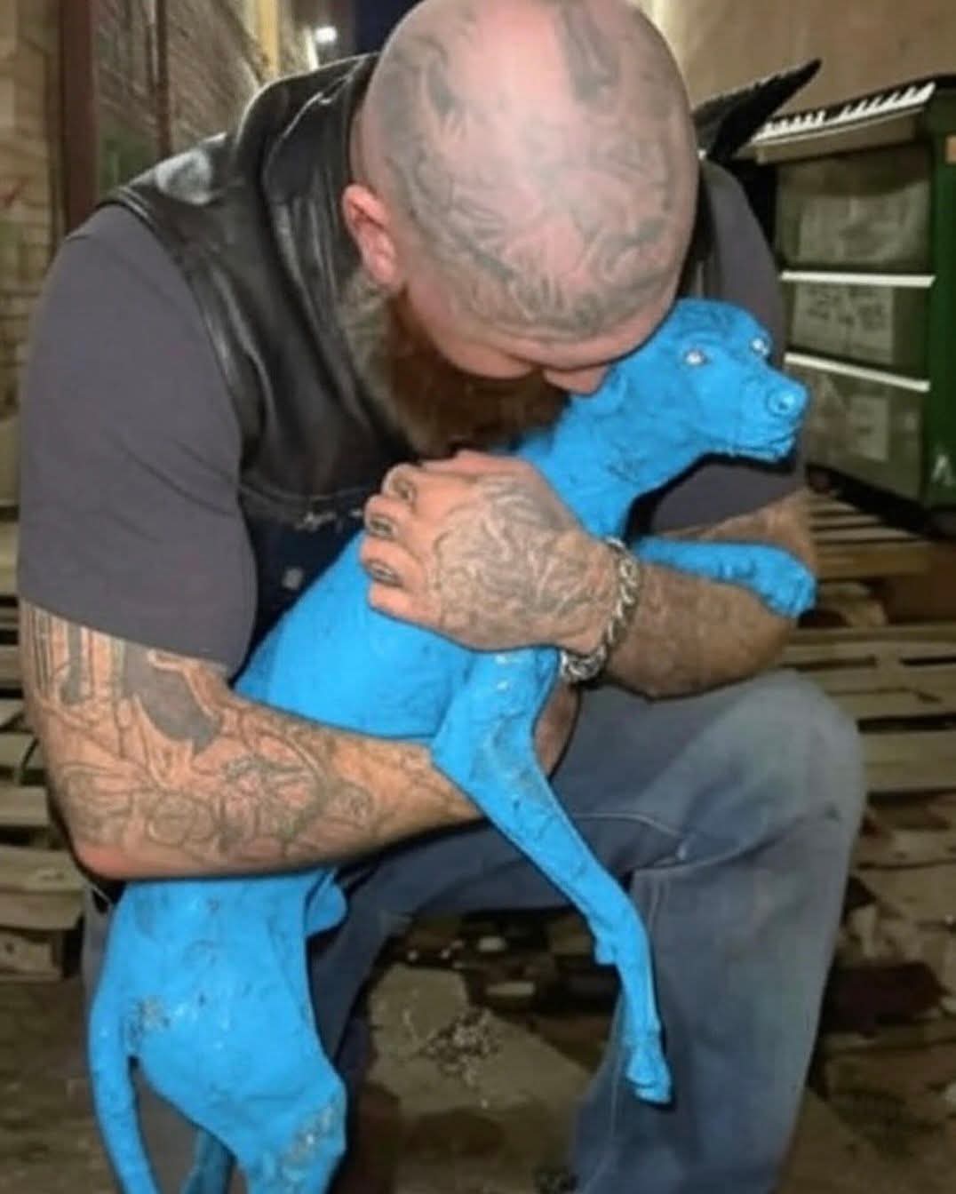 FB_IMG_1764883355247