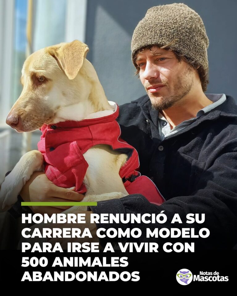 FB_IMG_1764887908458