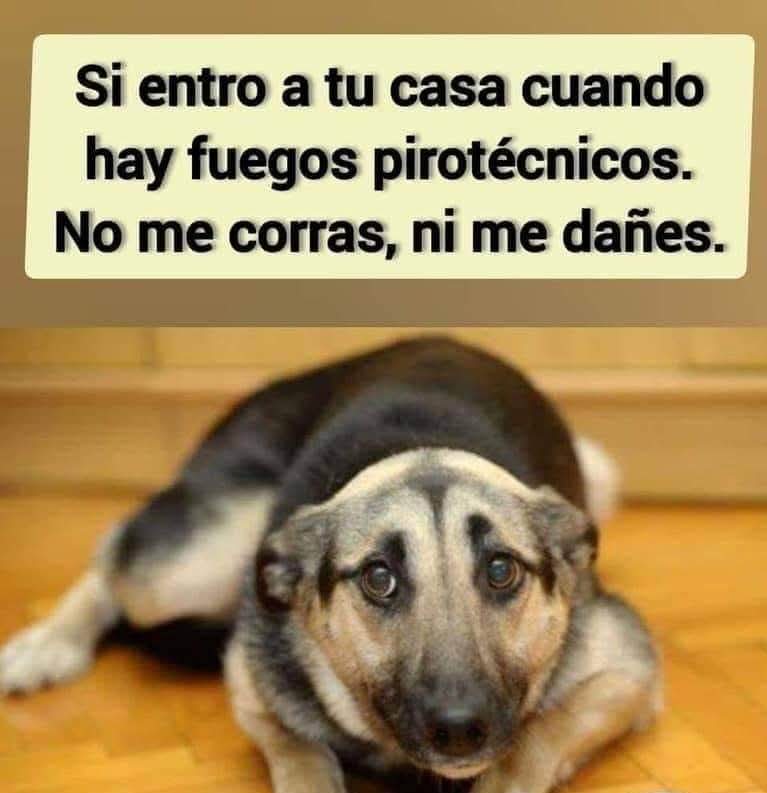 FB_IMG_1765165806326