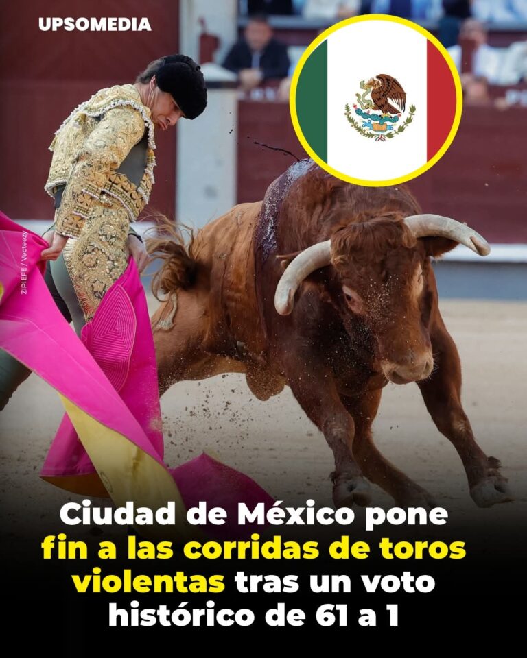 FB_IMG_1765166433889