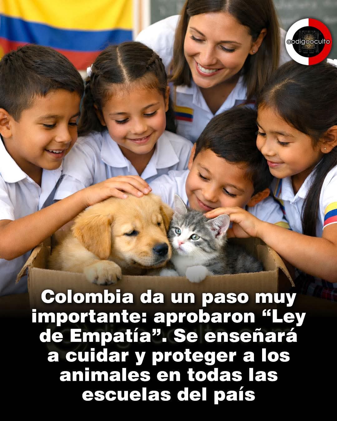 FB_IMG_1766342492833