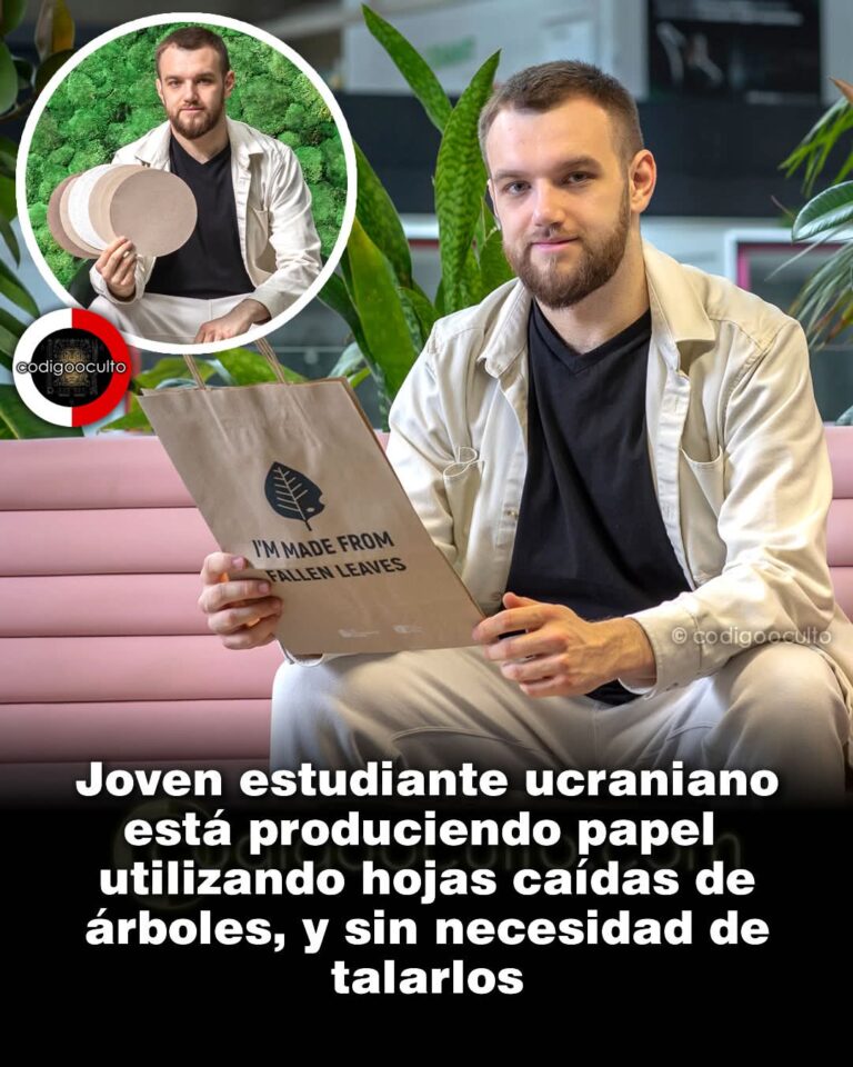 FB_IMG_1766343424847