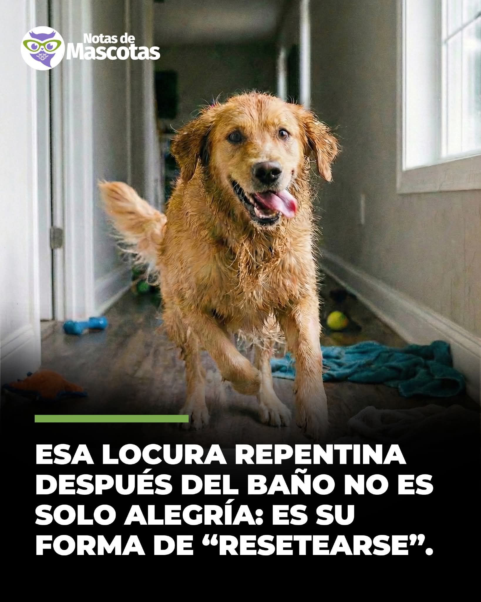 FB_IMG_1766363173272