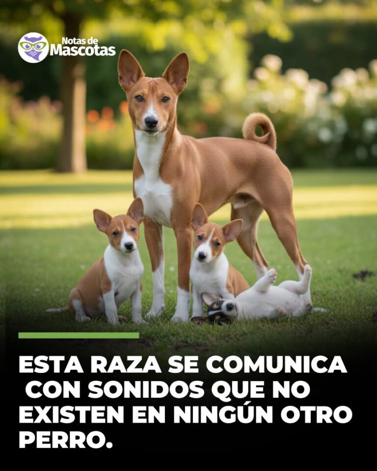 FB_IMG_1767010948909