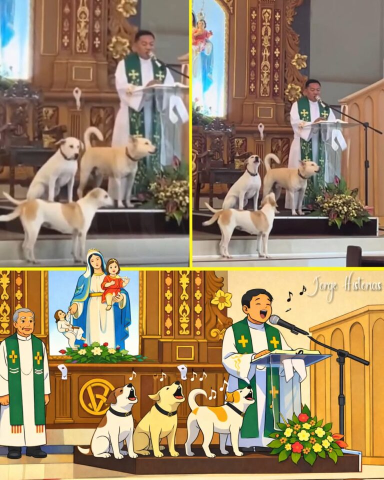 FB_IMG_1768362467445