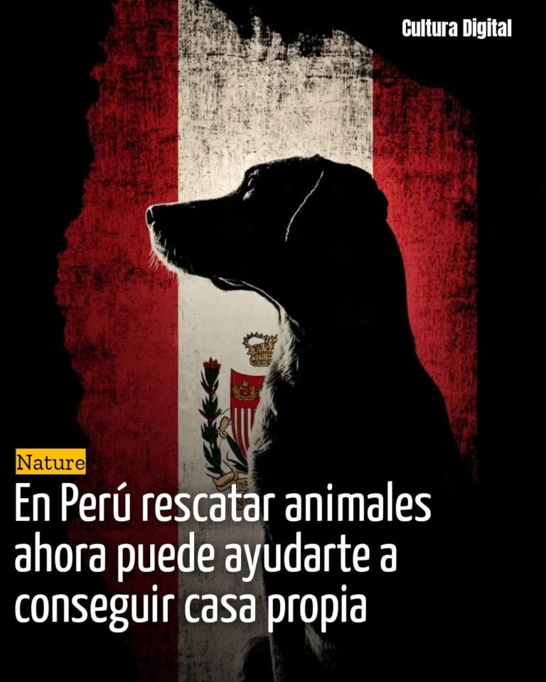 FB_IMG_1770038761396