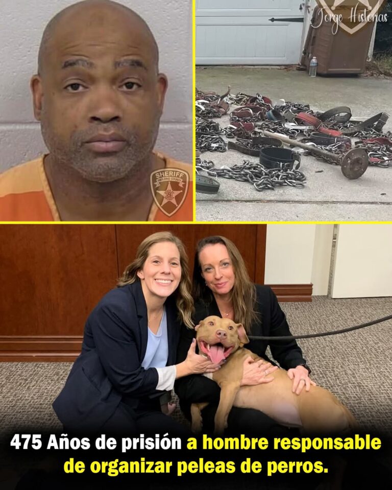 FB_IMG_1771079821553