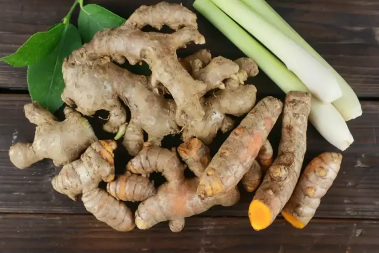 jengibre-y-curcuma_00000000_260218161527_960x640