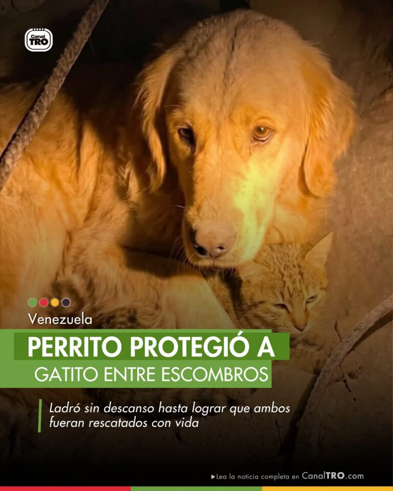 FB_IMG_1782510458893