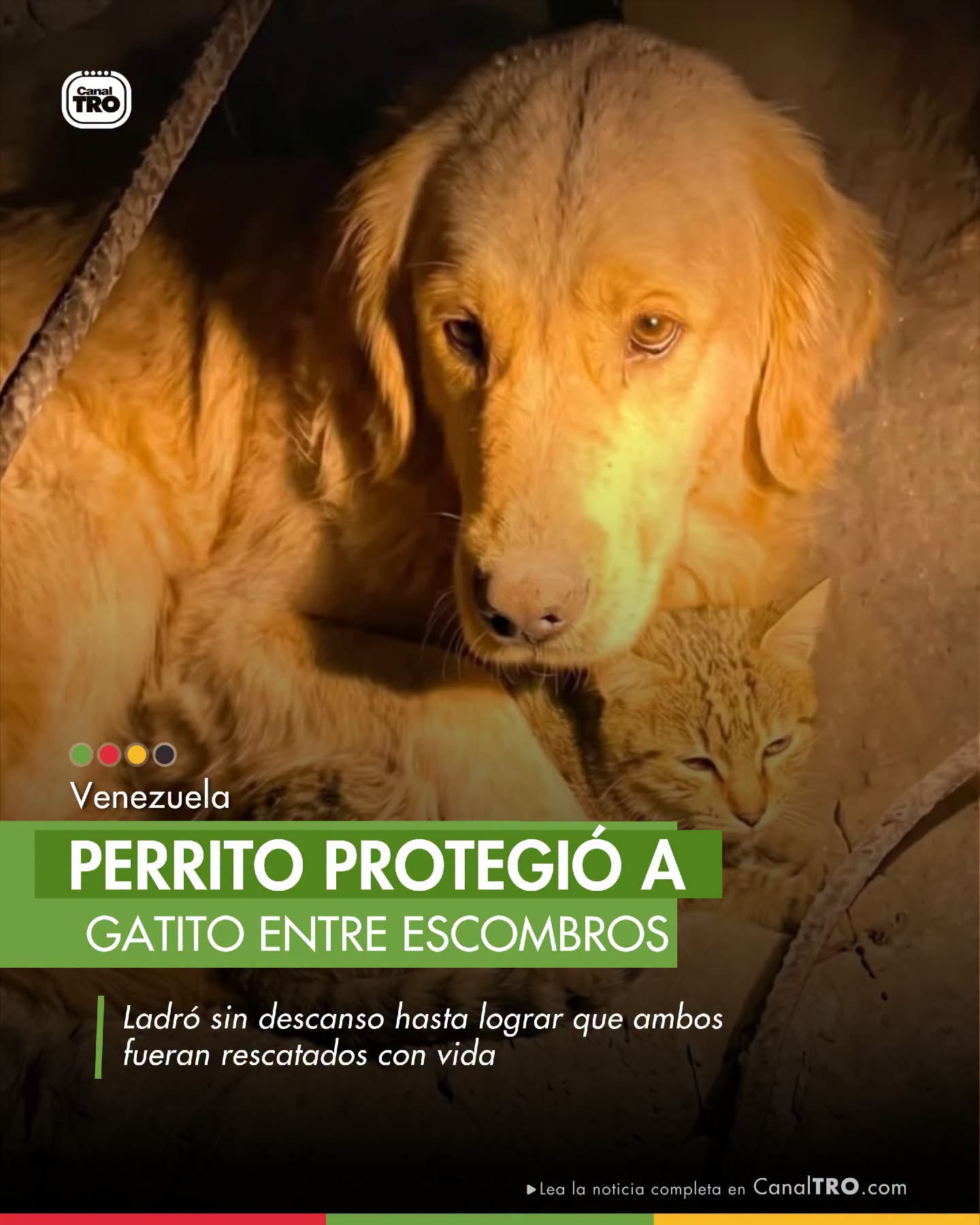 FB_IMG_1782510458893