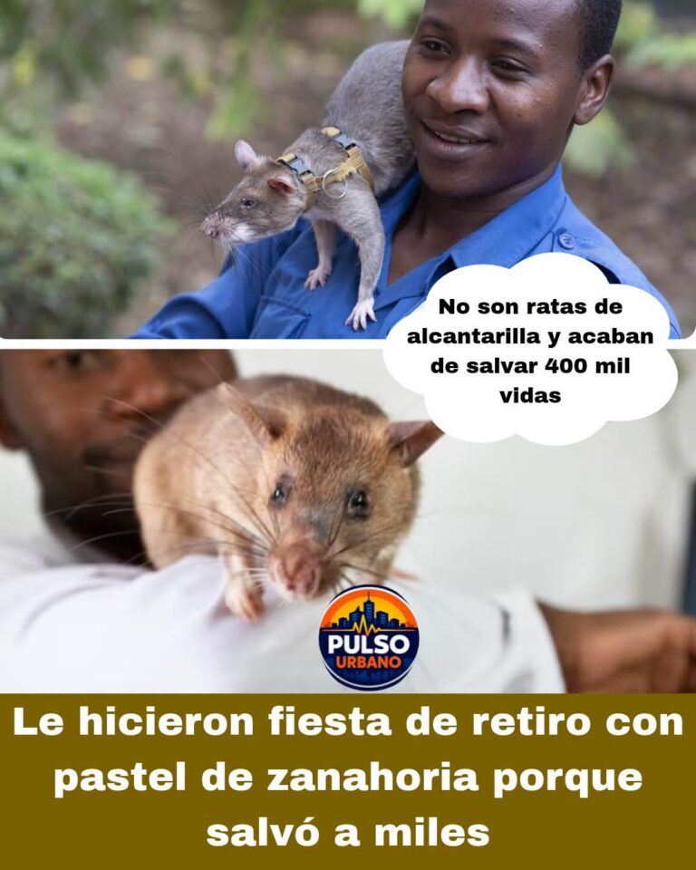 FB_IMG_1792721086997